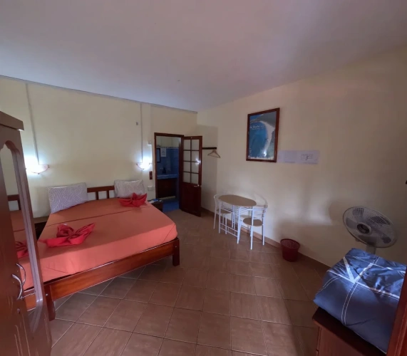 Standard Double room with balcony and with mountain view
