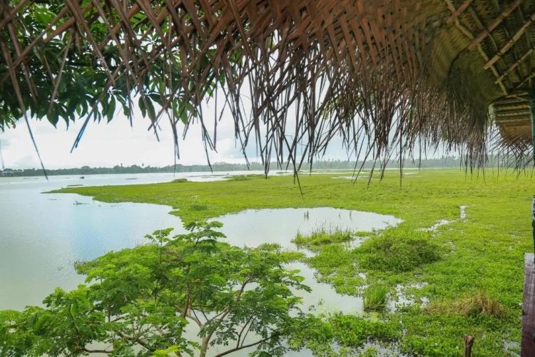 Standard Double room with lake view