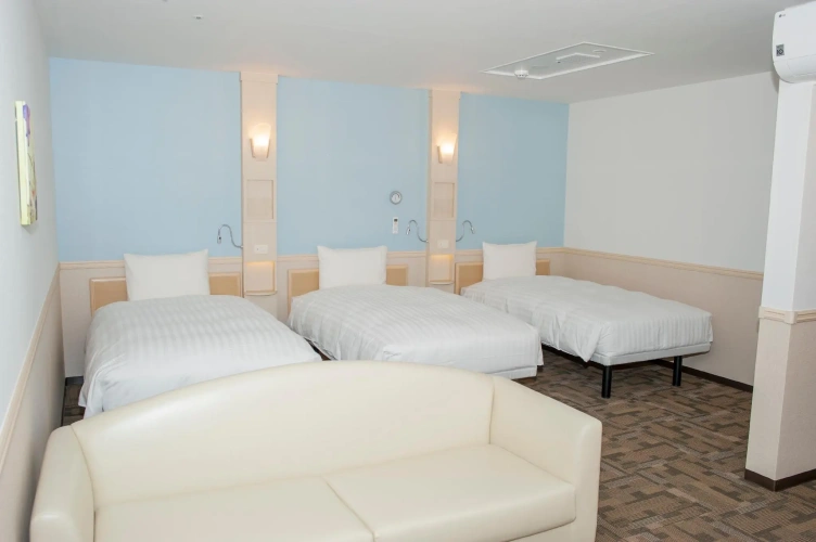 Standard Triple room