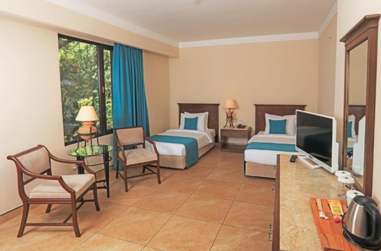Standard Twin room with land view