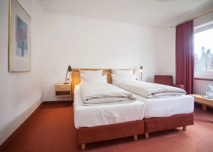 Comfort Double room