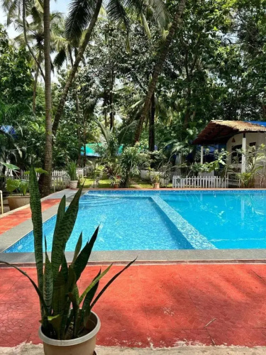 Kings Villa Resort