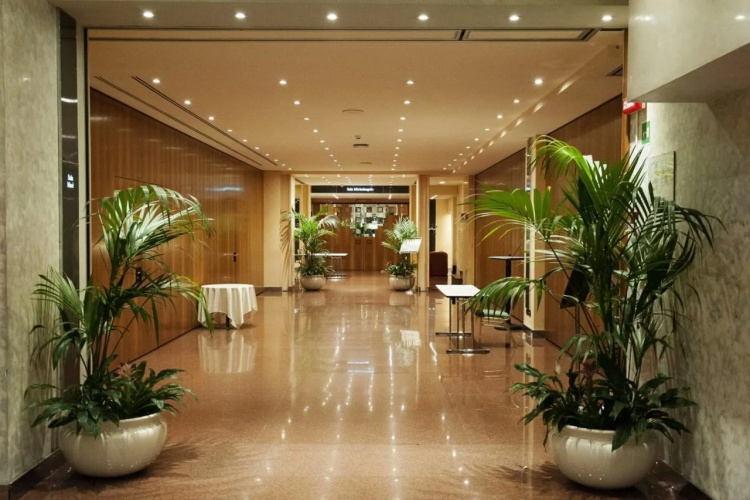 Hotel Michelangelo