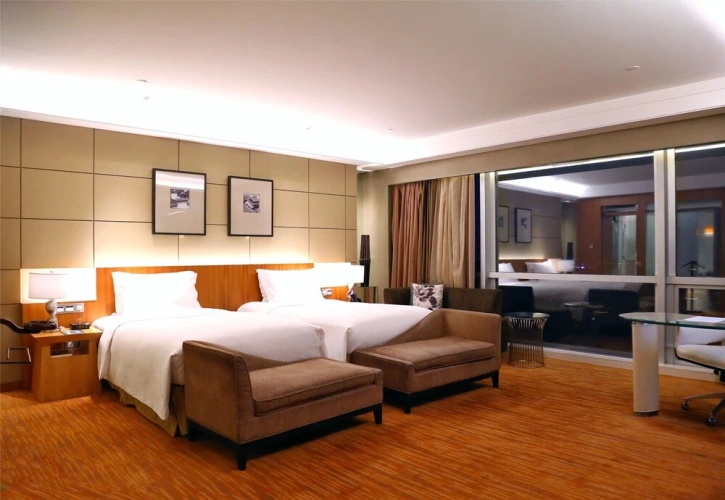 Luxury Twin room with city view