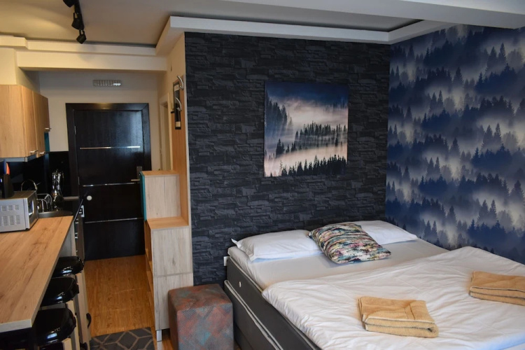 Apartments Mujen Lux