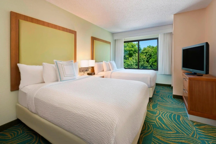 Quadruple Suite