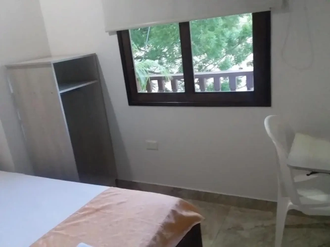 Standard Single room with park view