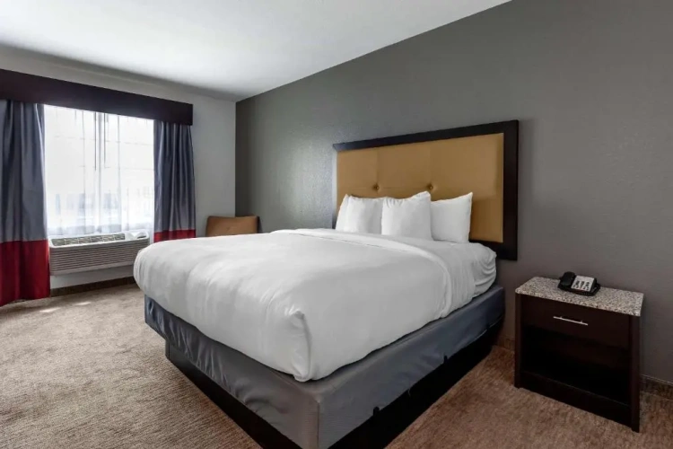 Quadruple Suite