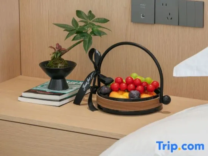 Premium Twin room with mountain view