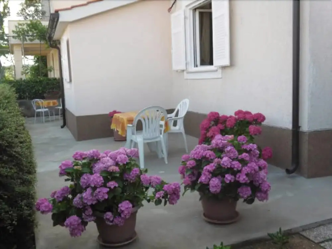 Apartment Franolic