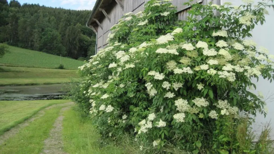 Gschwandnerhof