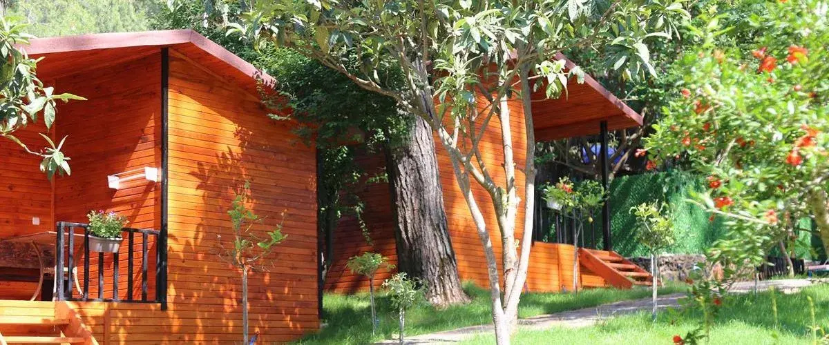 Robina Bungalov
