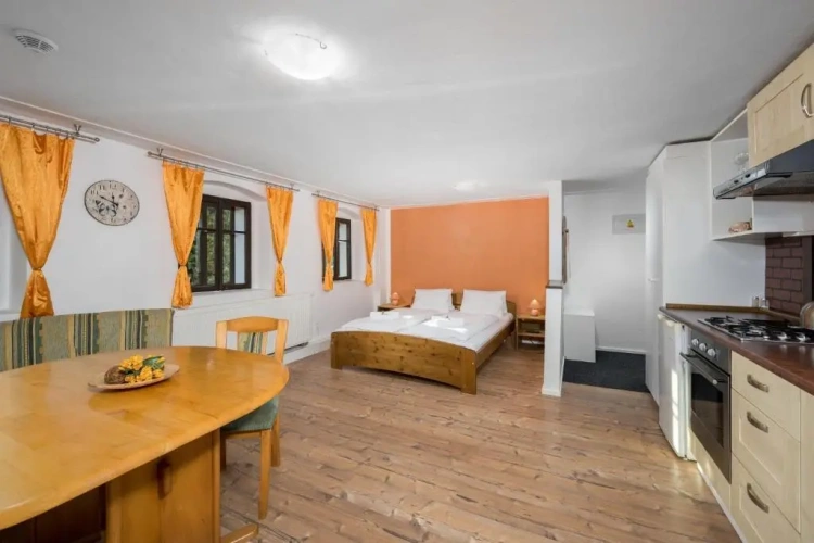 Standard Apartment