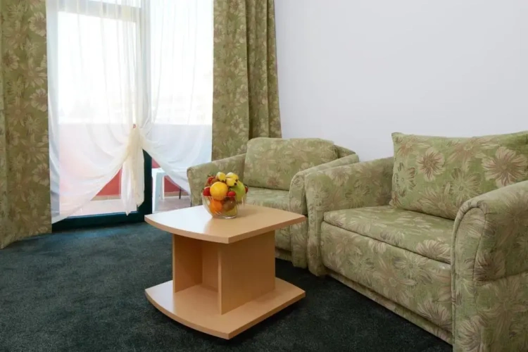 Standard Twin room with balcony and with view