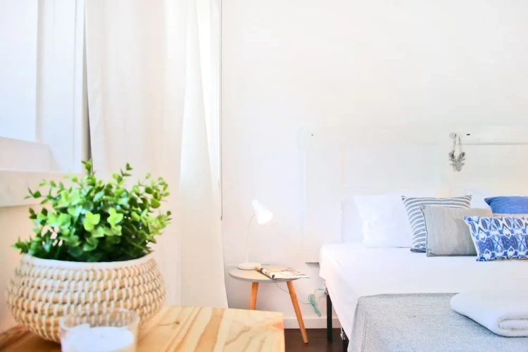 1 Bedroom Classic Apartment