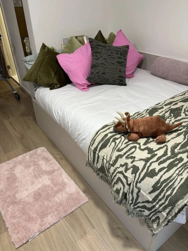 3 Bedrooms Apartment