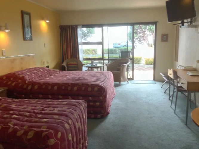 1 Bedroom Studio with balcony and with garden view