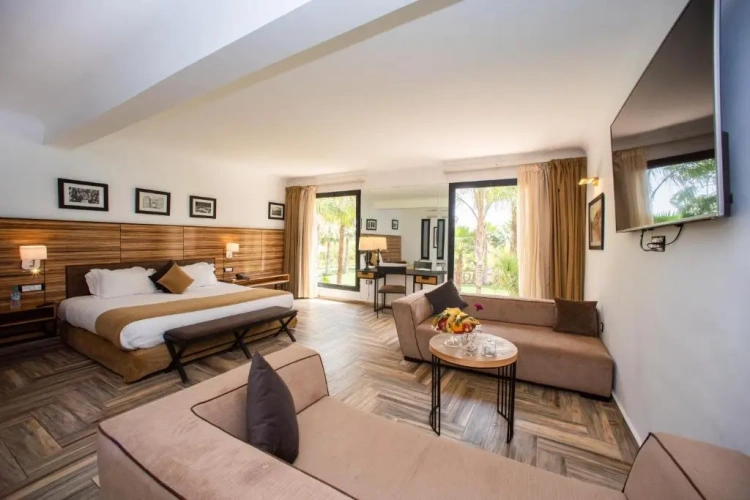 Executive Suite