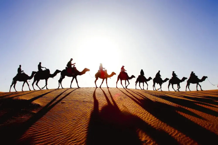 Sahara Royal Camp