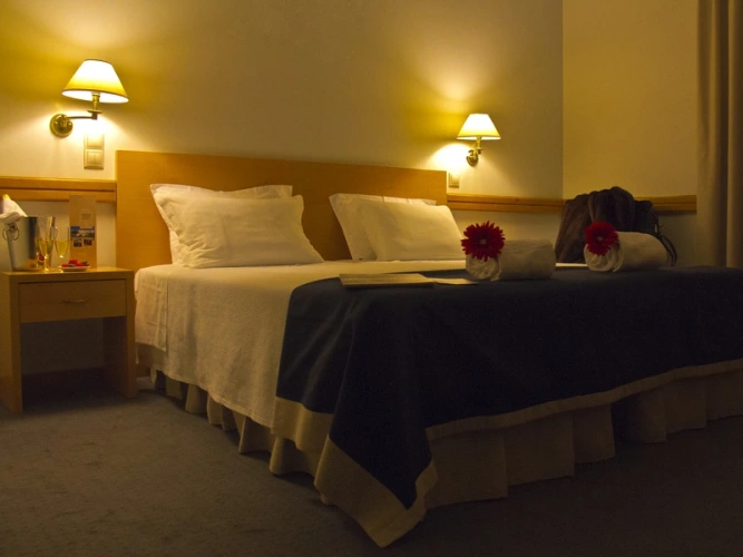 Standard Double room with balcony and with view
