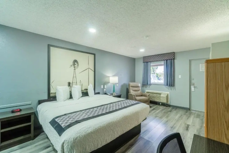 Standard Double room