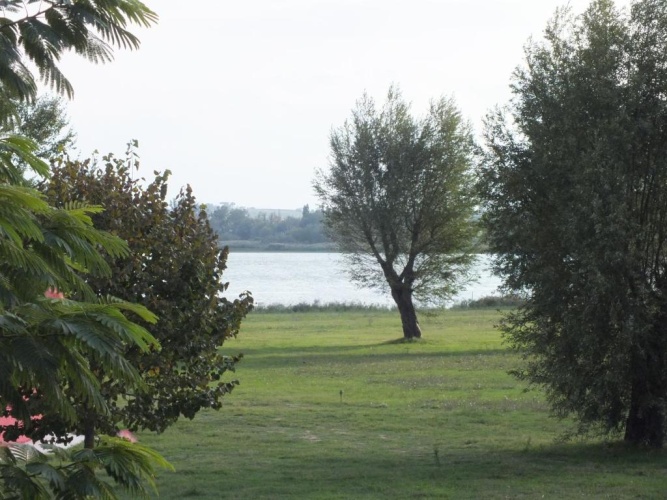 Outside