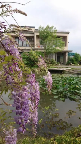 Dragonfly B&B