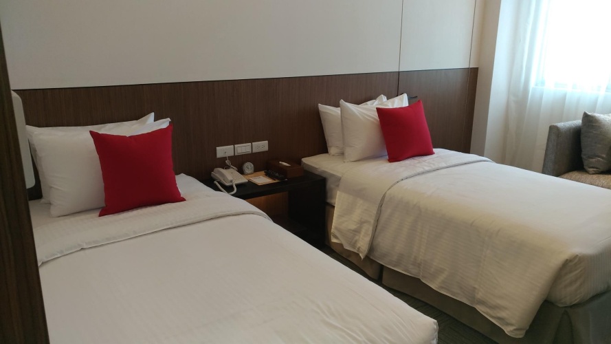 Deluxe Twin room with park view
