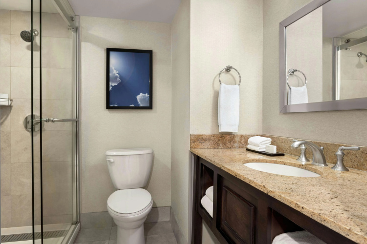 Embassy Suites by Hilton Kansas City Overland Park photo 10