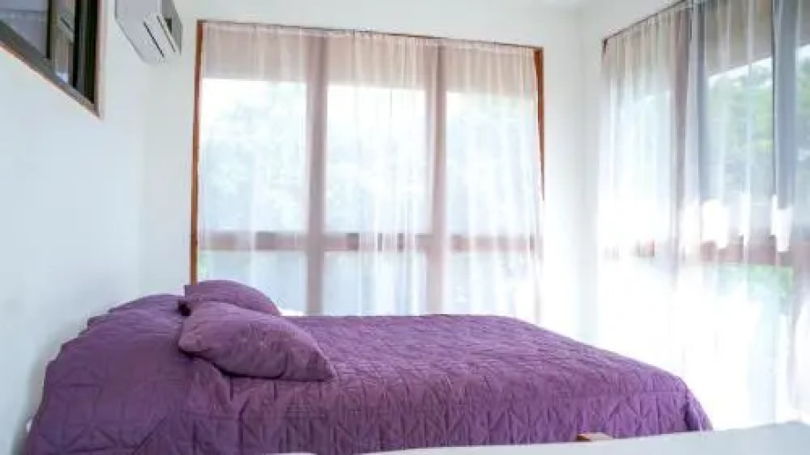 CW2 Casa Wasabi 2bed+1bath