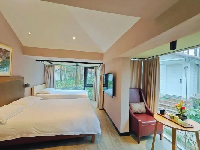 Standard Twin Family room with park view