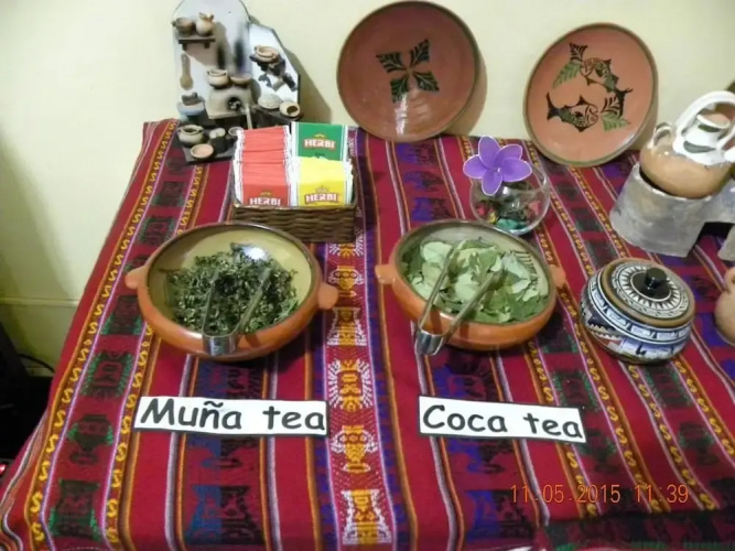 Peru Hostel