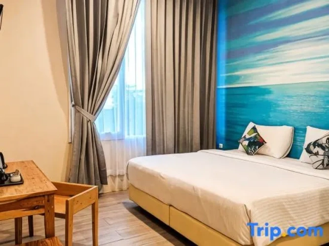 Superior Single room