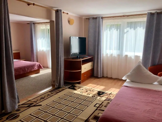 1 Bedroom Suite