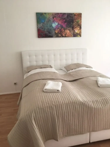 1 Bedroom Classic Apartment with city view