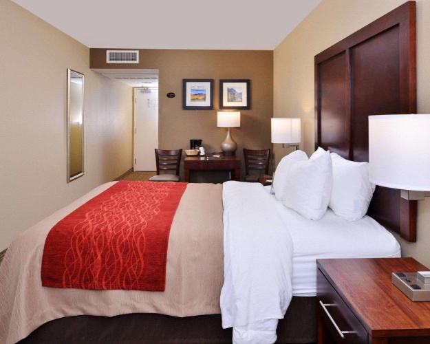 Standard Double room