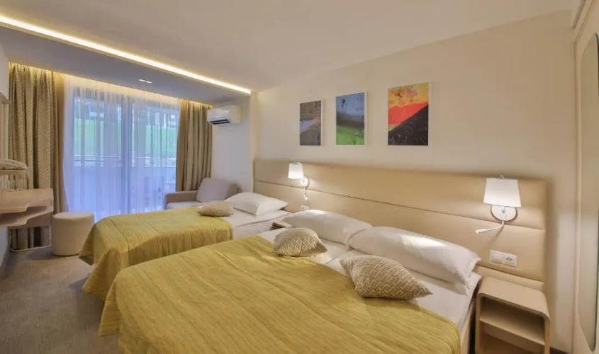 Deluxe Double room