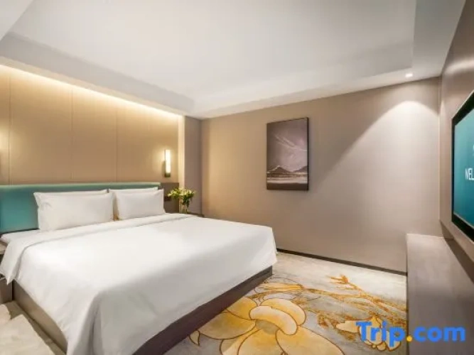 Superior Double room with city view