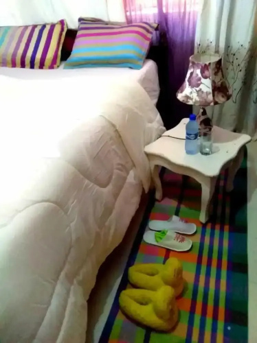 Jills Nest