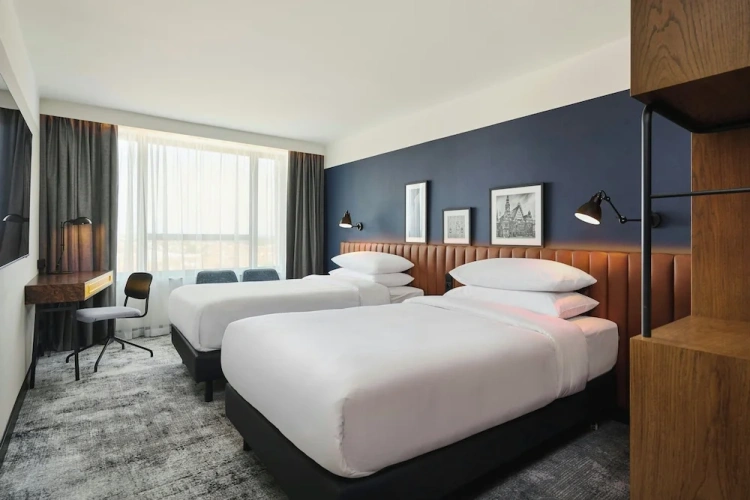 Superior Twin room with city view