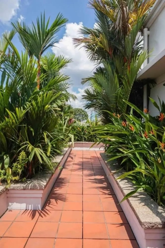 Outside