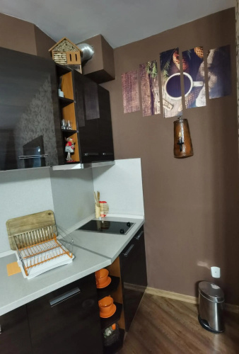 Studio Iceberg Borovets Студио с кухня