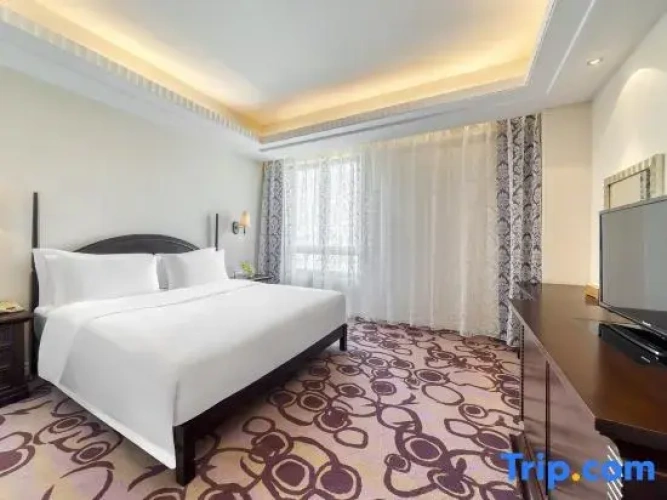 Duplex Suite