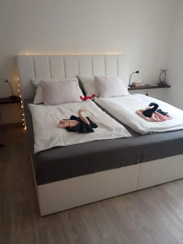 Academic Apartment Brno (AAB) 2+1 (62 m²)