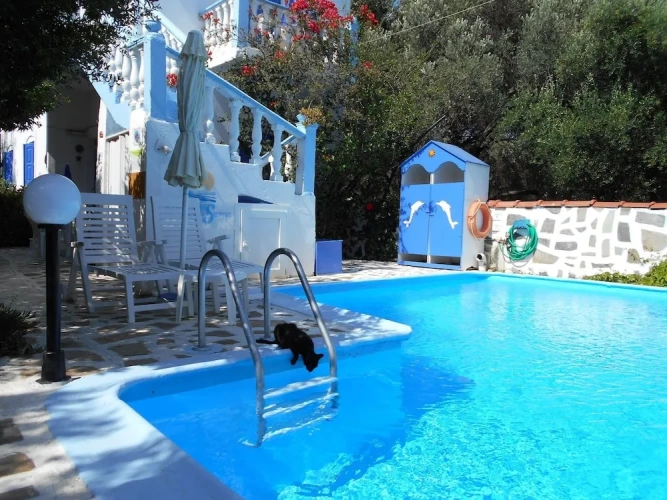 1 Bedroom Apartment with balcony and with mountain view