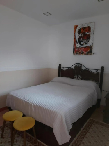 Casa da Palmeira
