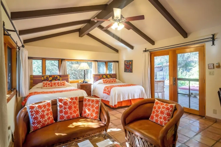 Deluxe Twin room with garden view