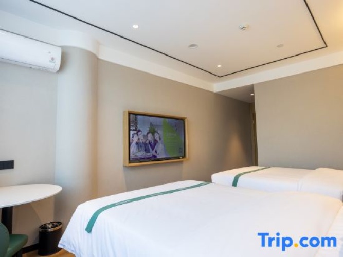 Standard Twin Family room