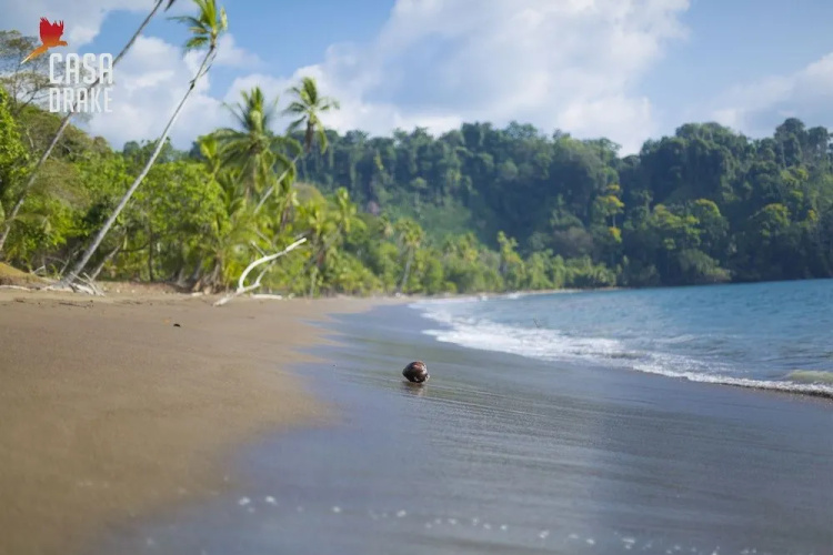 Room-private Honeymoon Bungalow