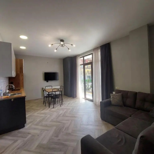 Apartment 102 Bakuriani